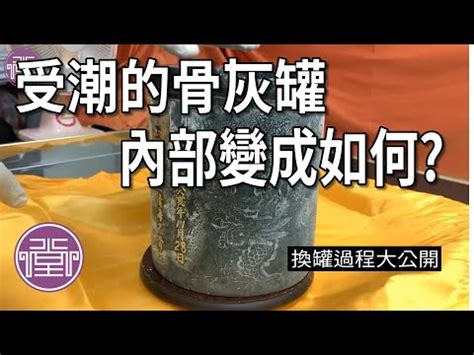 骨灰罈家族墓內部 双鱼座今日運勢